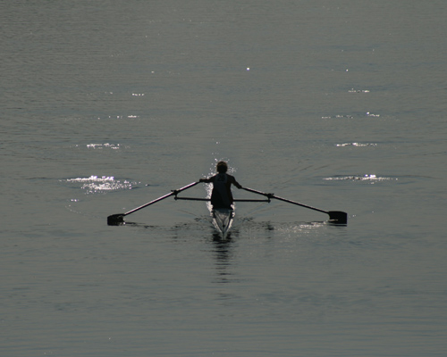Rower at Island Park