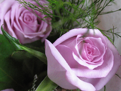 These were just about to be given to a flute player.