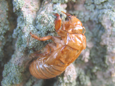 I`ve waited 17 years to get this shot.