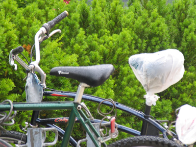 Rain adversely affects my ability to take interesting pictures.