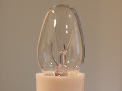 One has to improvise when one can`t go outside to take pictures.