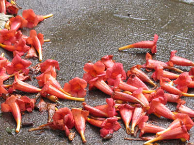 Such extravagant waste!