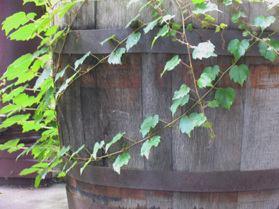 A photo opportunity on my own front porch.