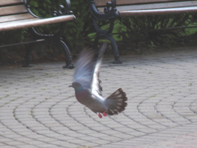 `That MIGHT be just a camera, but I`m not sticking around to find out.`