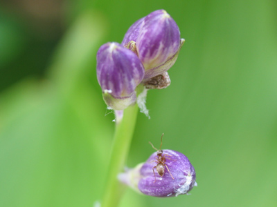 I suppose just to be fair, I ought to include a picture of my uncle.