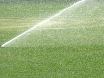 Evidently it hasn`t rained enough lately.