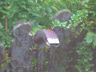 I think the neighbors have been spying.