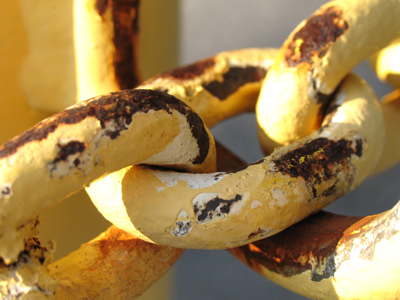 The missing link found in midwestern parking lot.