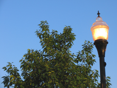 I`m glad it`s blue.  I like blue.