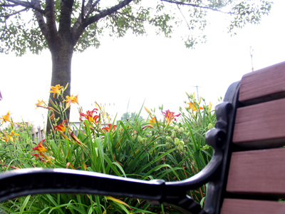 A little bit of the country in the middle of the city.