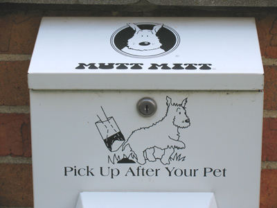 I noticed this when I leaned against the park wall to scrape the bottom of my shoe.