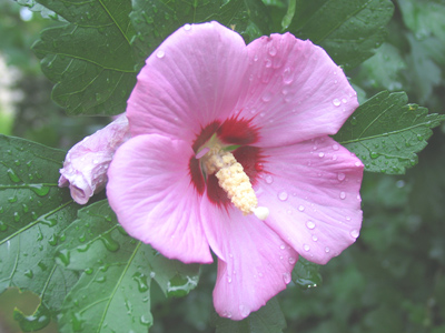 Things like this are all around for anyone to see. Hang up the phone. Get out of the car. Look around.