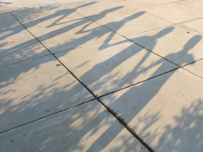 The Von Trapp children visit Ohio.