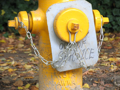 She`s just masking her disappointment at always being a bridesmaid but never a bride.