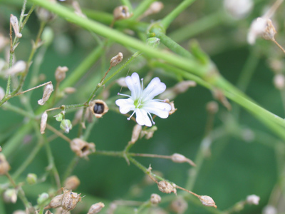 Attention K-Mart shoppers!