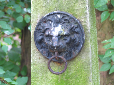 Okay, got that shot.  Next up, whiskers on kittens . . . 