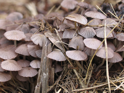 Just down the street, students at the Harman School celebrate being in an elite, well-funded district.