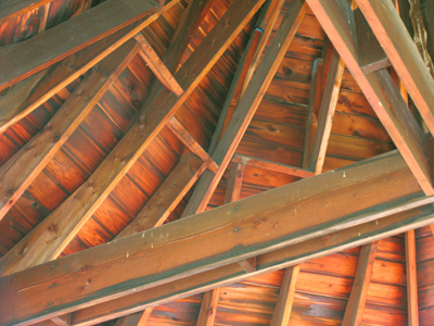 I say unto you that even Solomon in all his glory was not arrayed like one of these. MATTHEW 6:29