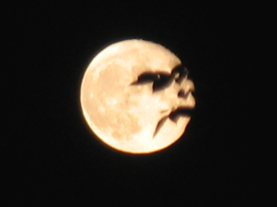The leaves in the foreground create an illusion of a rather angry man in the moon.