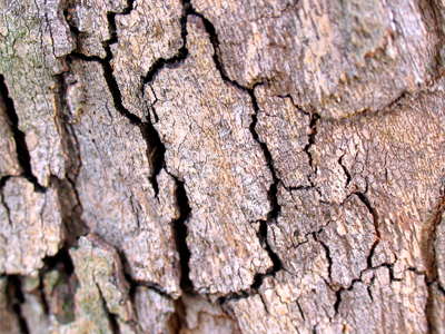 Worse than its bite.