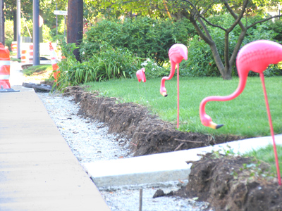 Man`s unbridled development continues to encroach upon the habitat of wildlife.