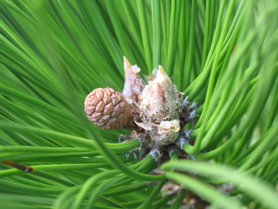 A sign of things to come.