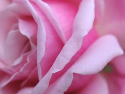 Georgia O`Keefe would`ve loved it.