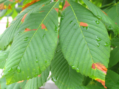 Just enough imperfection to be interesting.