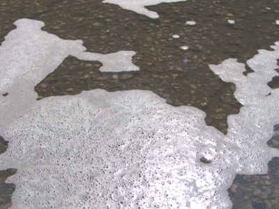 When seen from the air, Antarctica can be starkly beautiful.