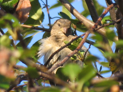 `Don`t take my picture - I just got up.`