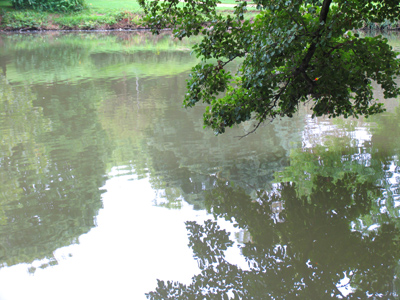 Not raining quite as much today, but still wet.