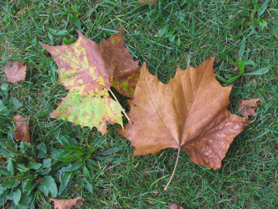 A bit early for that type of thing, don`t you think?