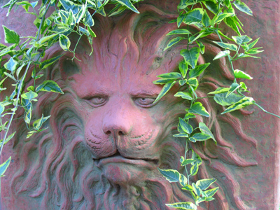 `Is this a good look for me, or should I wear it up?`