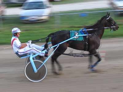 Lots of Amish people came to the fair in their quaint little buggies.