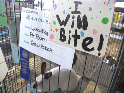 I decided not to risk it.