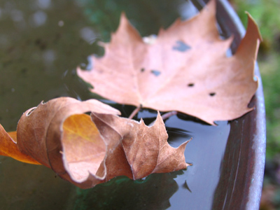 It was a cool and cloudy day, foreshadowing the season to come.