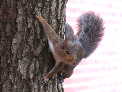He just saw `Spiderman 2` last night.