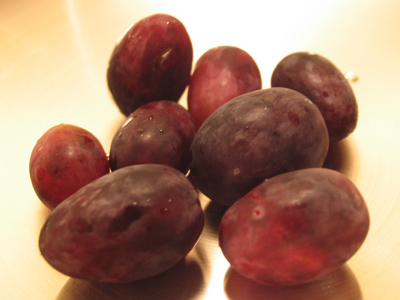 The Grapes of Wrath.