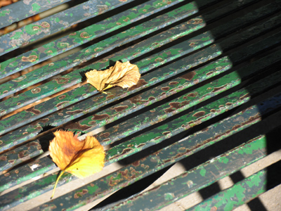 Summer will soon be leaving, autumn will soon be leafing.