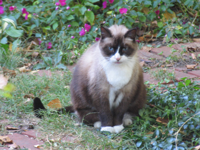 Isn`t it time to eat?