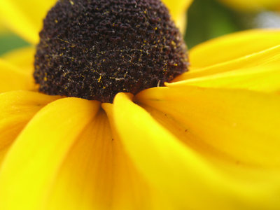 But things brightened up by the afternoon.