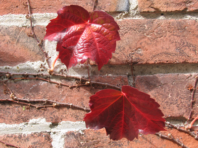 Please do not leave me.