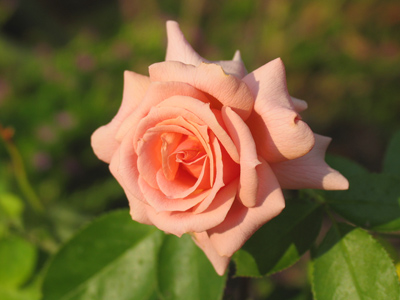 Taken at only 5:45pm, but notice the low angle of sunlight.