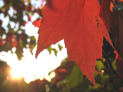 When next we meet again, it will be October.