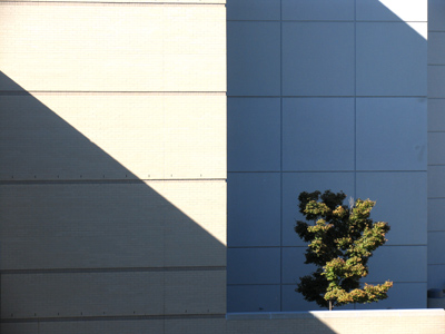 A shot like this can make me happy all day.