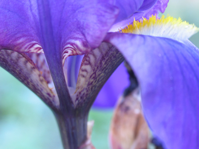 We were both shivering when I took this.