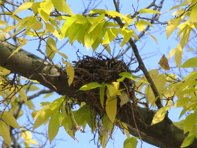 Ready for immediate occupancy.