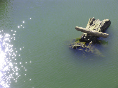 This explains the rumors of a hippopotamus.