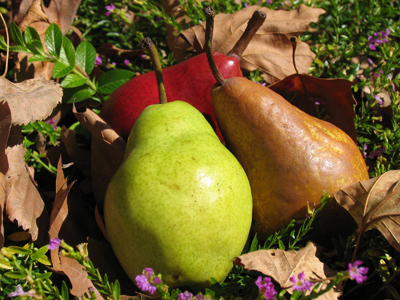 Shoot now, eat later.