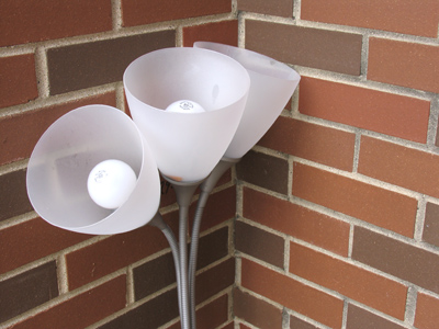 I always try to brighten my little corner of the world.